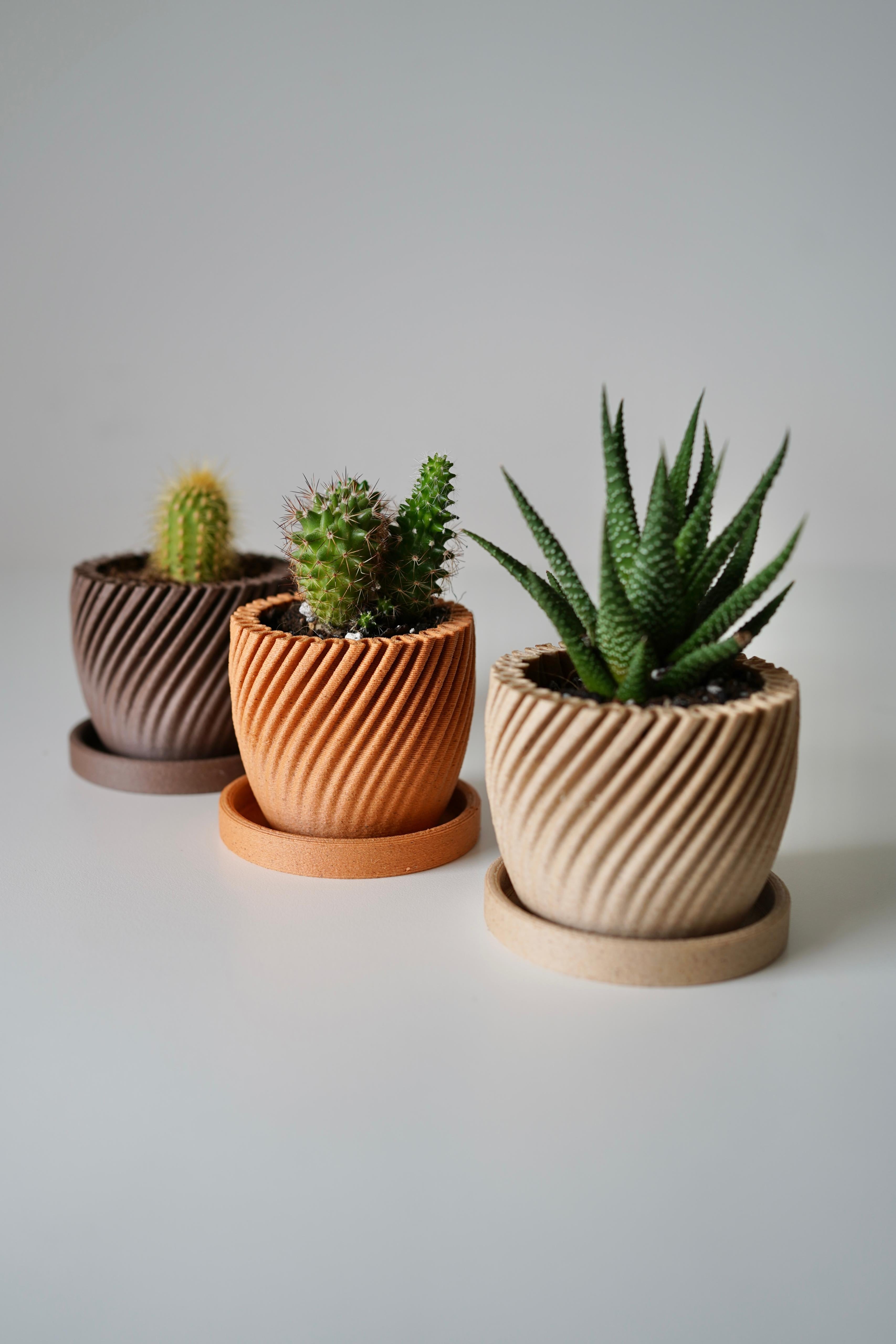 CACTIA planter 3d model