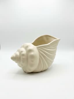 Coastal Conch Shell Decorative Planter and Vase 3d model
