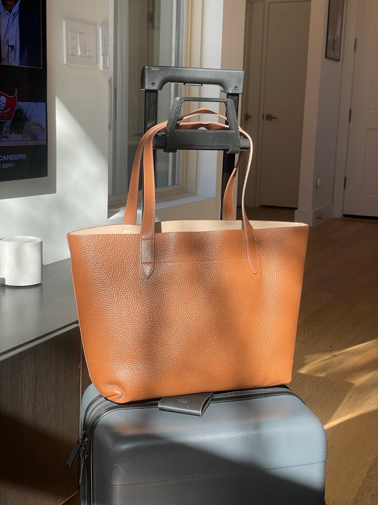 Bag Buddy 3d model