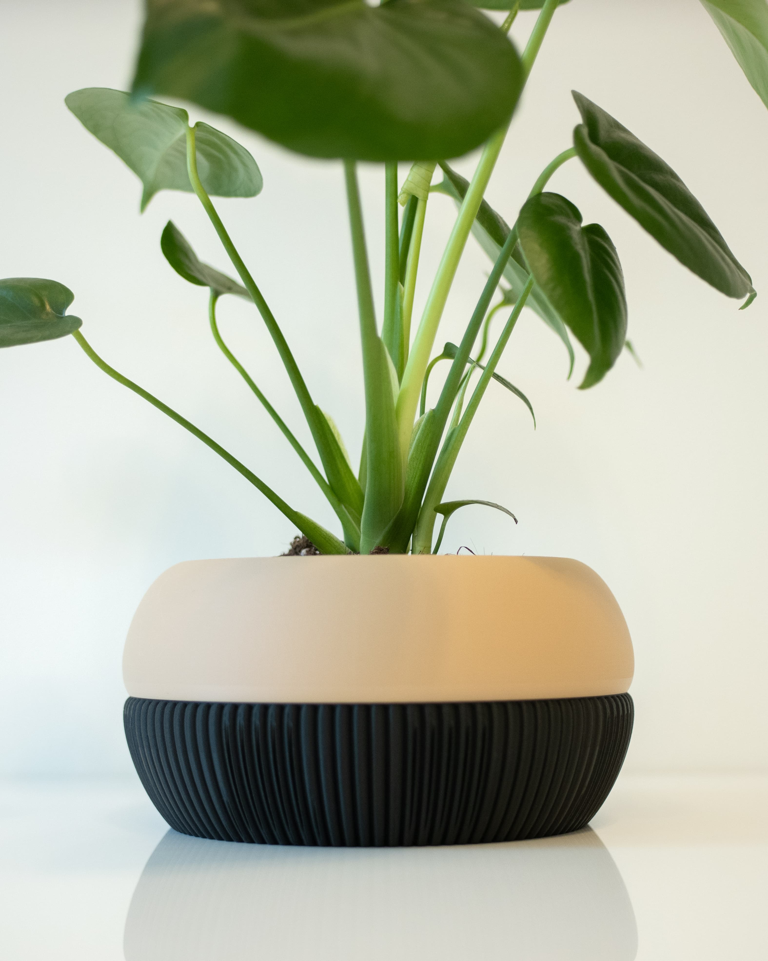 MERIDIAN Pot 001 3d model