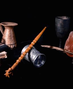 Bernadette's Wand - Harry Potter 3d model