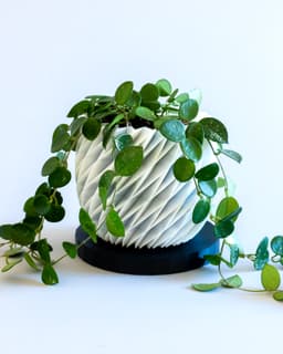 DIAMANTE Planter 01 // Plant Pot or Container 3d model