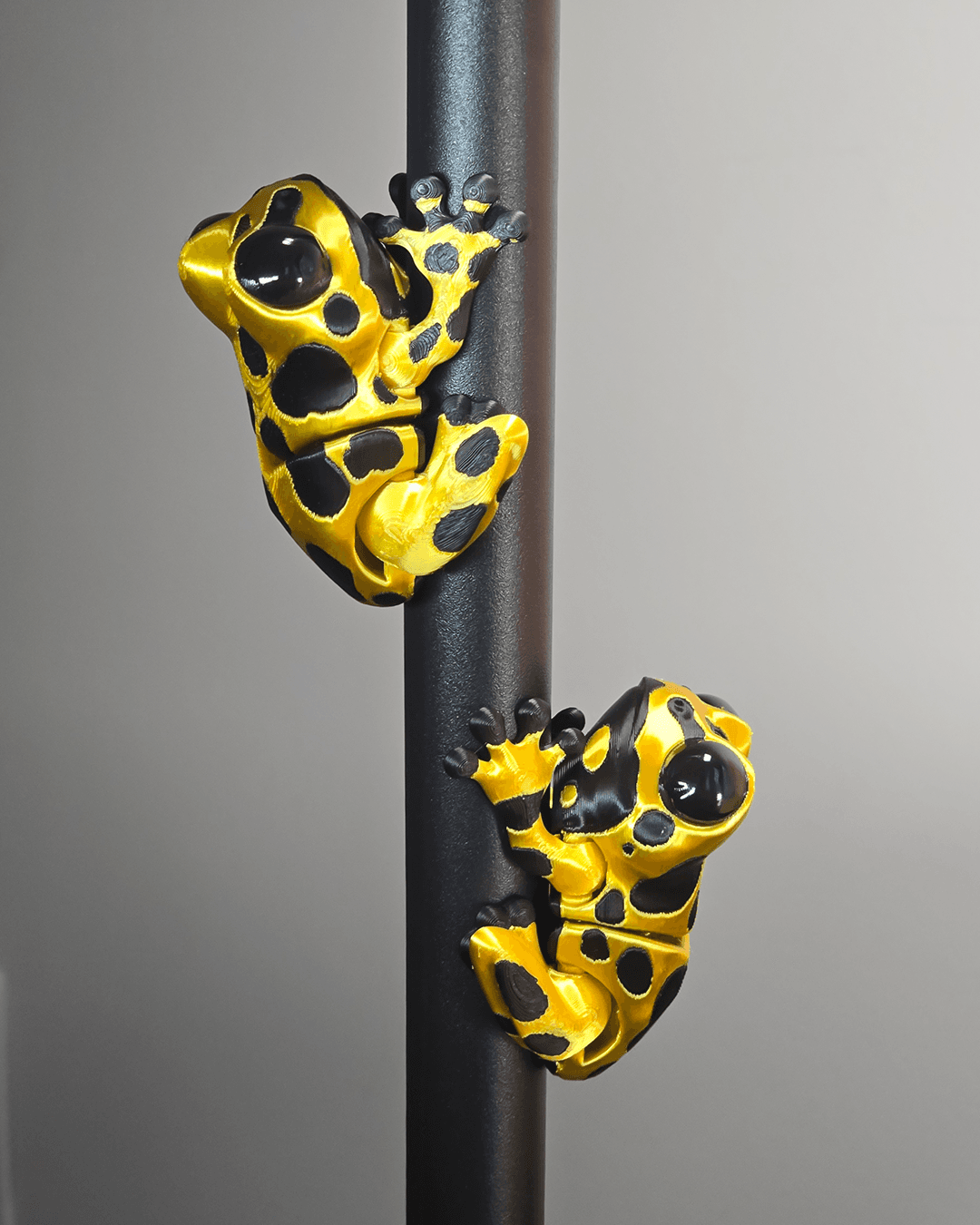 3DL Dart Frog 3d model