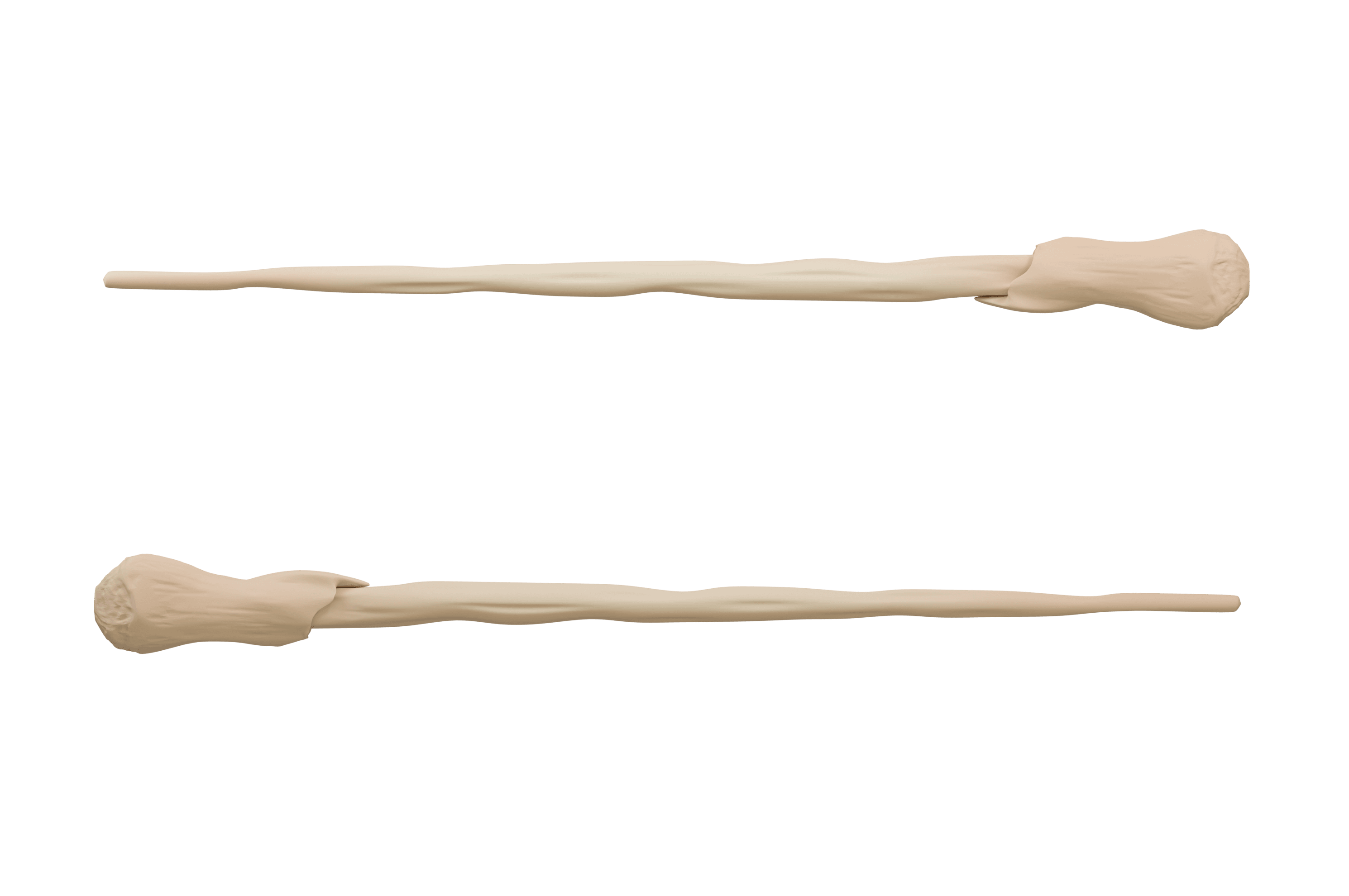 Ron Weasley Wand 3d model