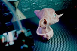 Dobby Multicolor Bust Support Free ERCF MMU Mosaic Palette 3d model