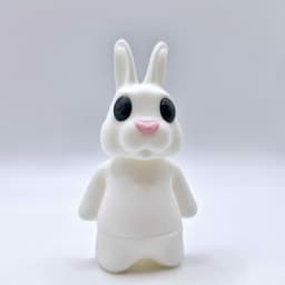 Flexi Rabbit 3d model