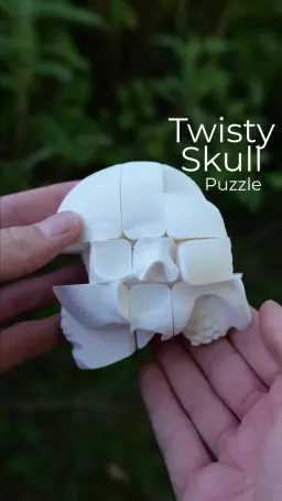 Twisty Skull Puzzle 3d model
