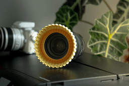 Flower Lens Accessory in Multiple sizes 3d model