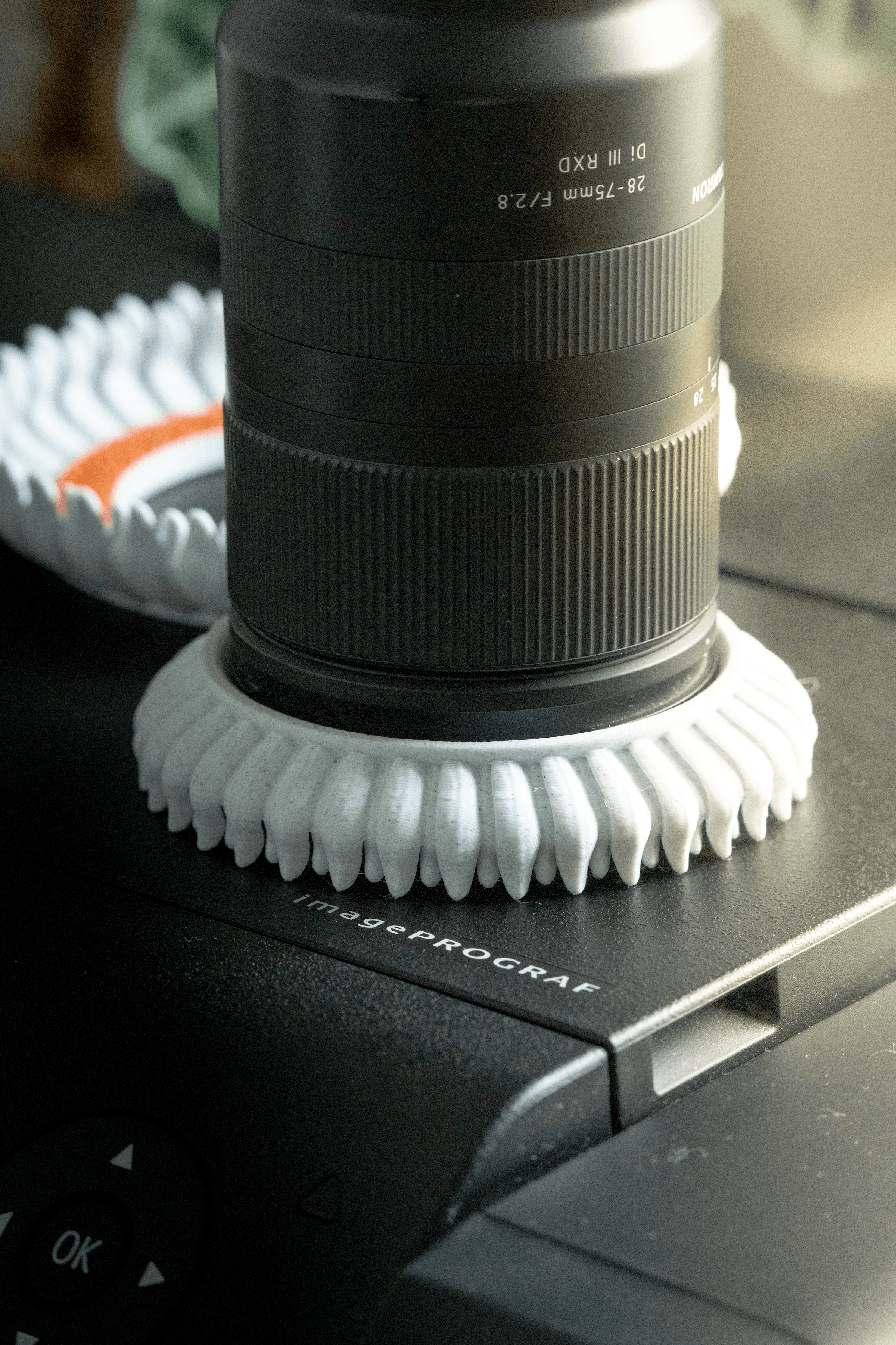 Flower Lens Accessory in Multiple sizes 3d model