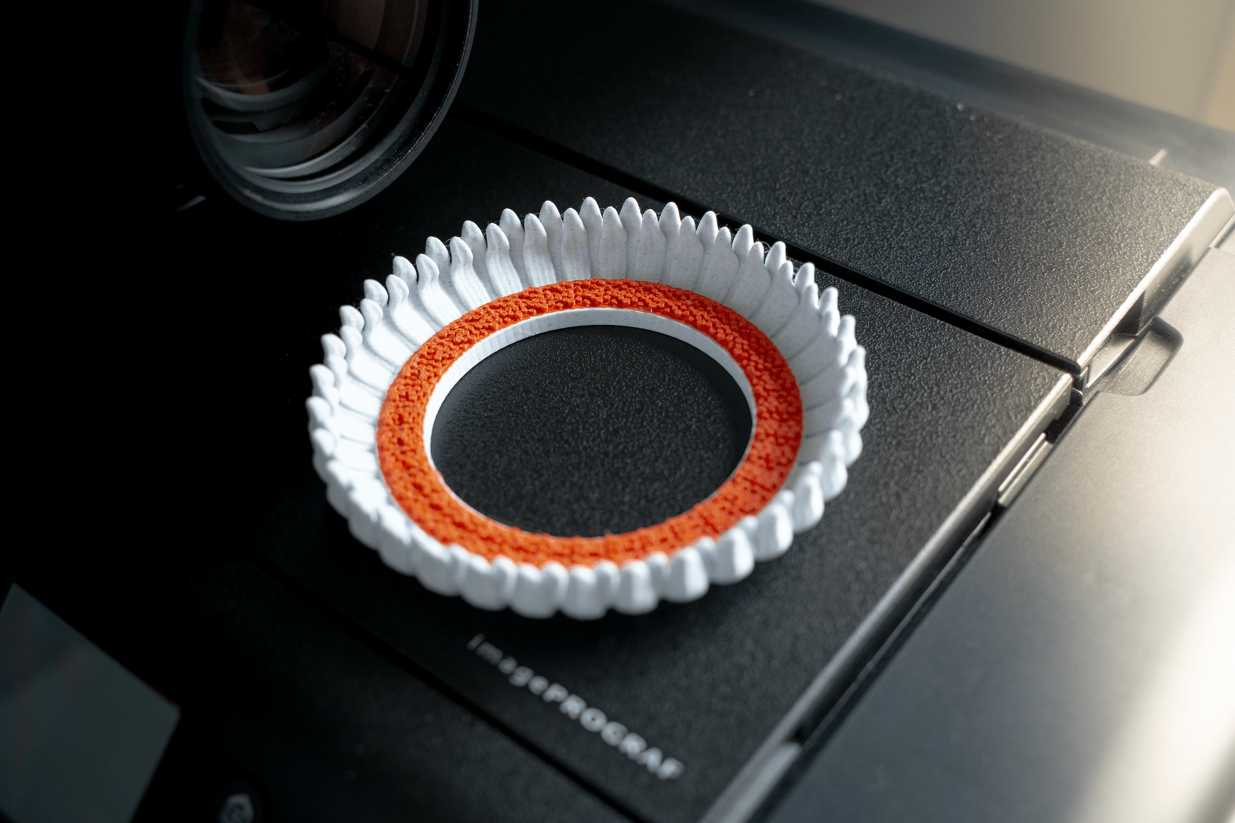 Flower Lens Accessory in Multiple sizes 3d model