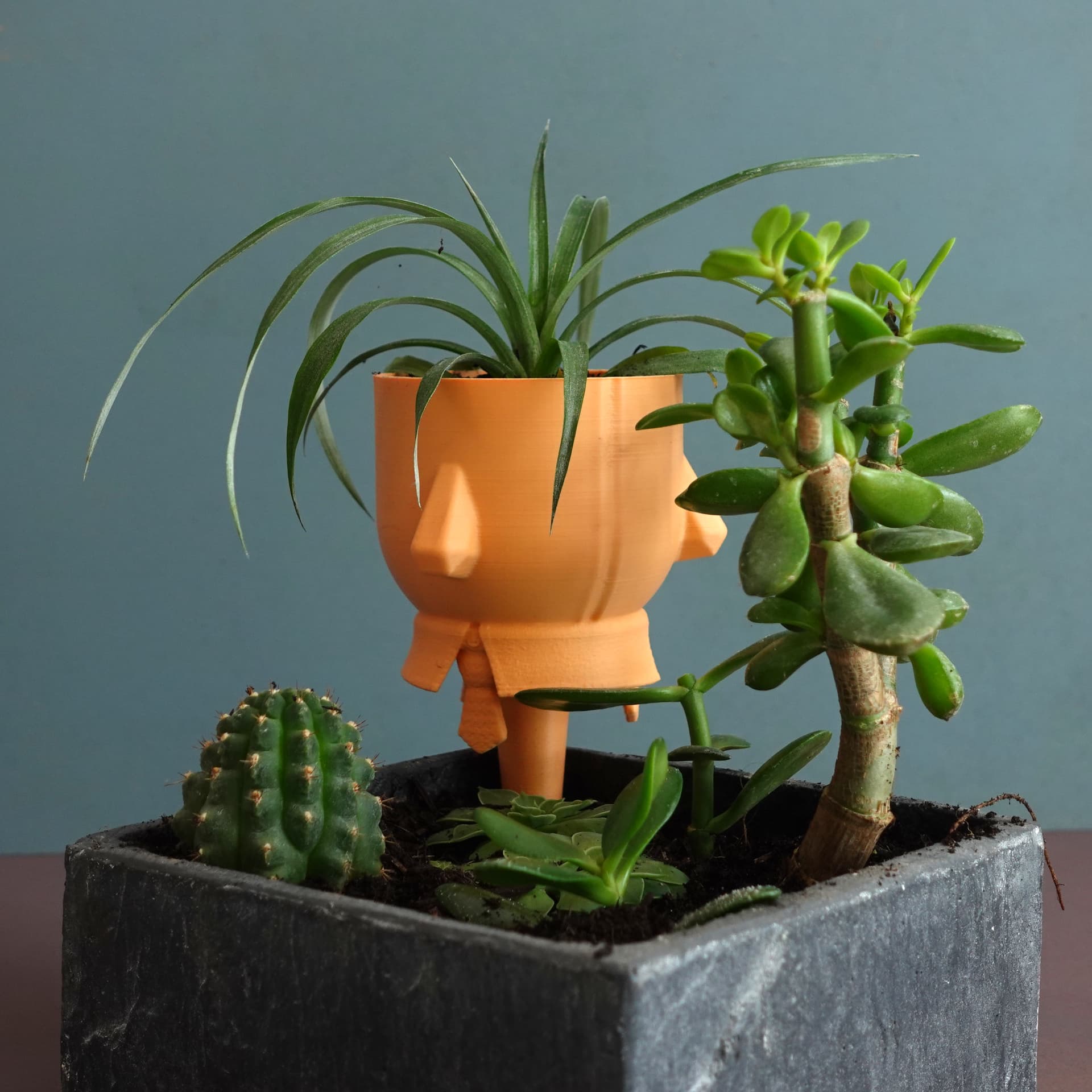 Planter “Extra” 3d model