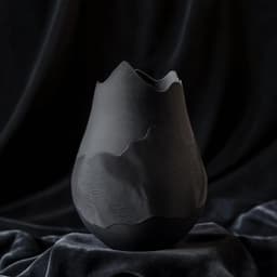 Shadow Crest - Sculptural 3D Printable Home Decor 3d model