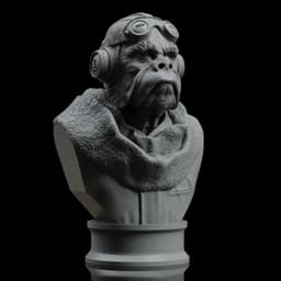 Kuiil Bust (Pre-Supported) 3d model