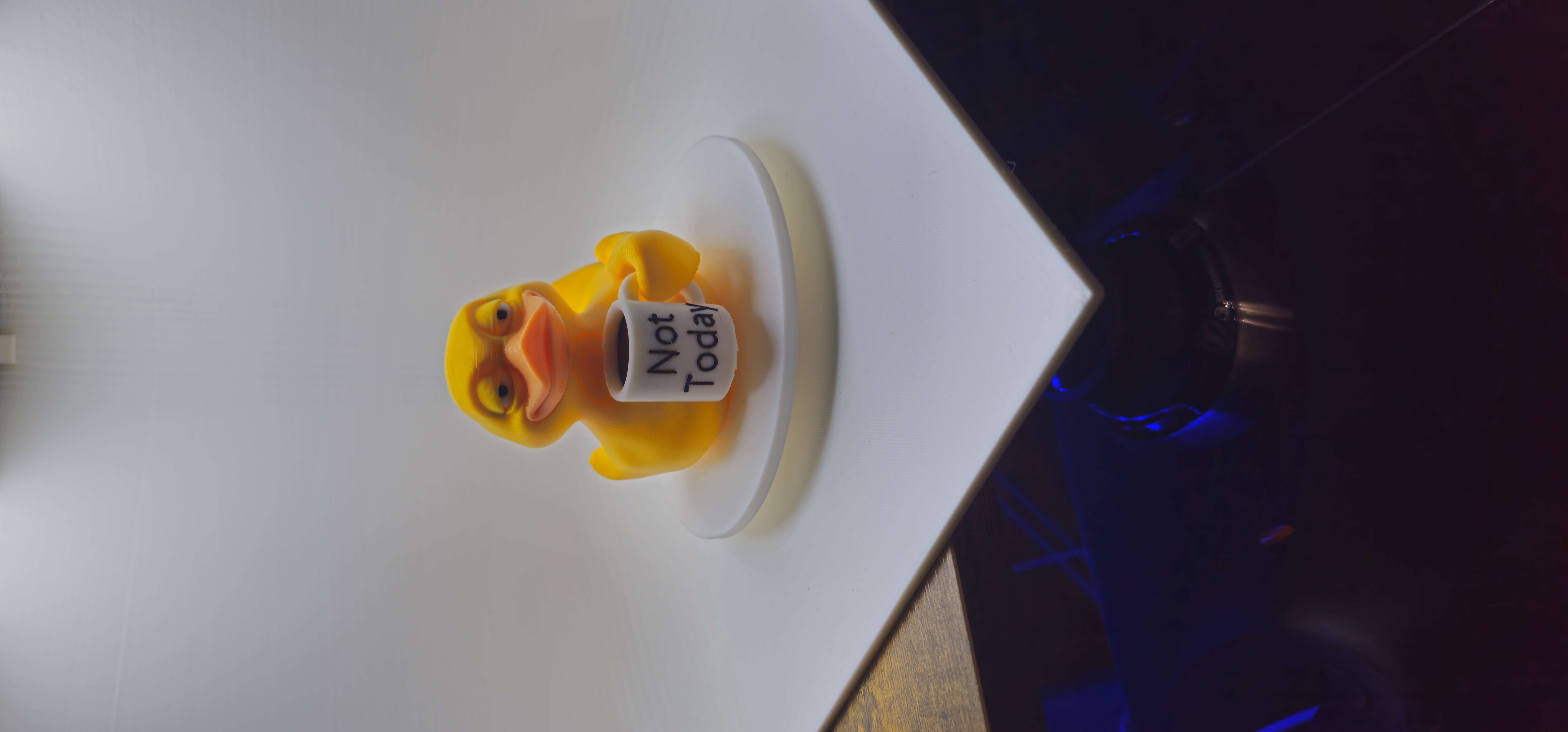 Not Today Duck 3d model