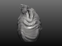 facehugger egg , alien 3d model