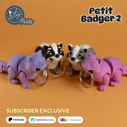 Petit Badger 2 3d model