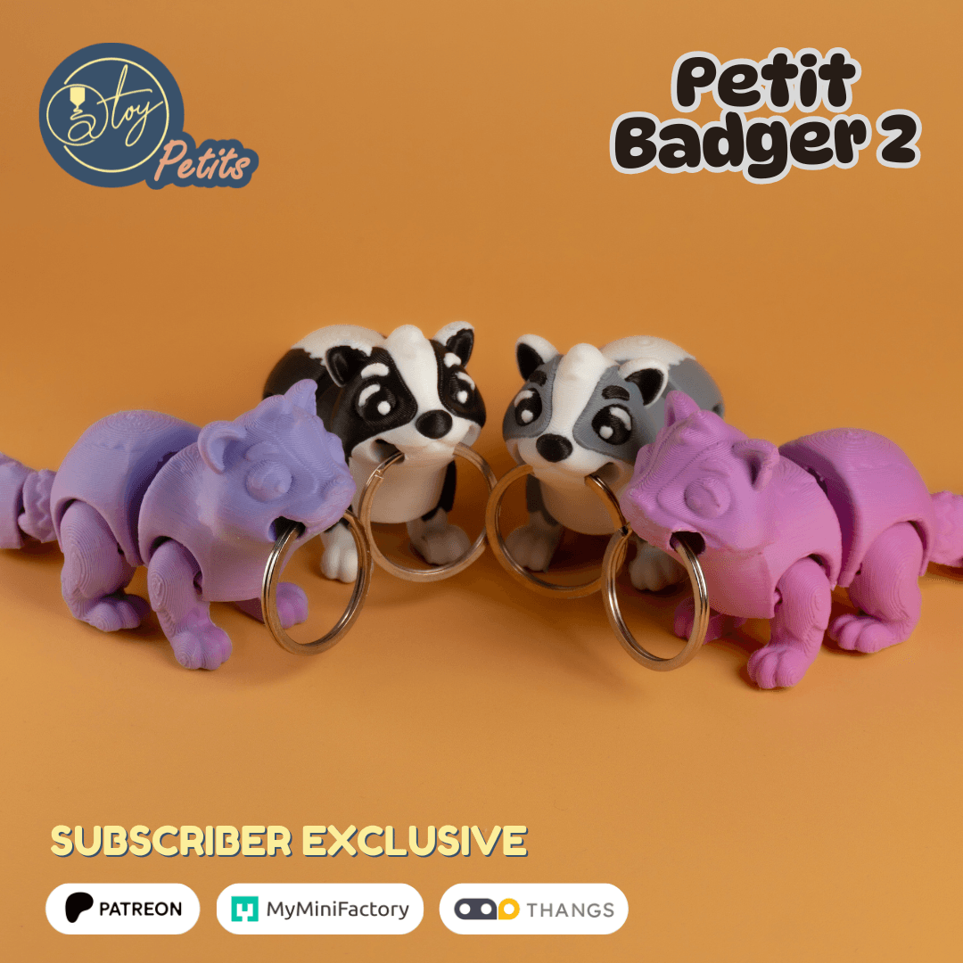 Petit Badger 2 3d model