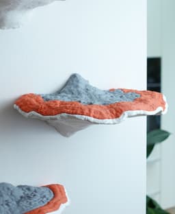 Mushroom shelf “Formitopsis Pinicula” II 3d model