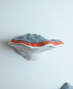 Mushroom shelf “Formitopsis Pinicula” II 3d model