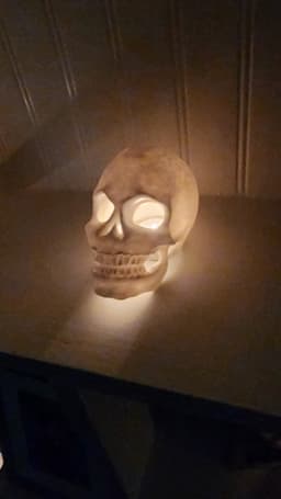 skull.stl 3d model