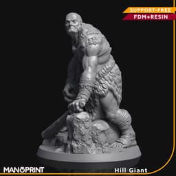 Hill Giant, Fantasy Miniature 3d model