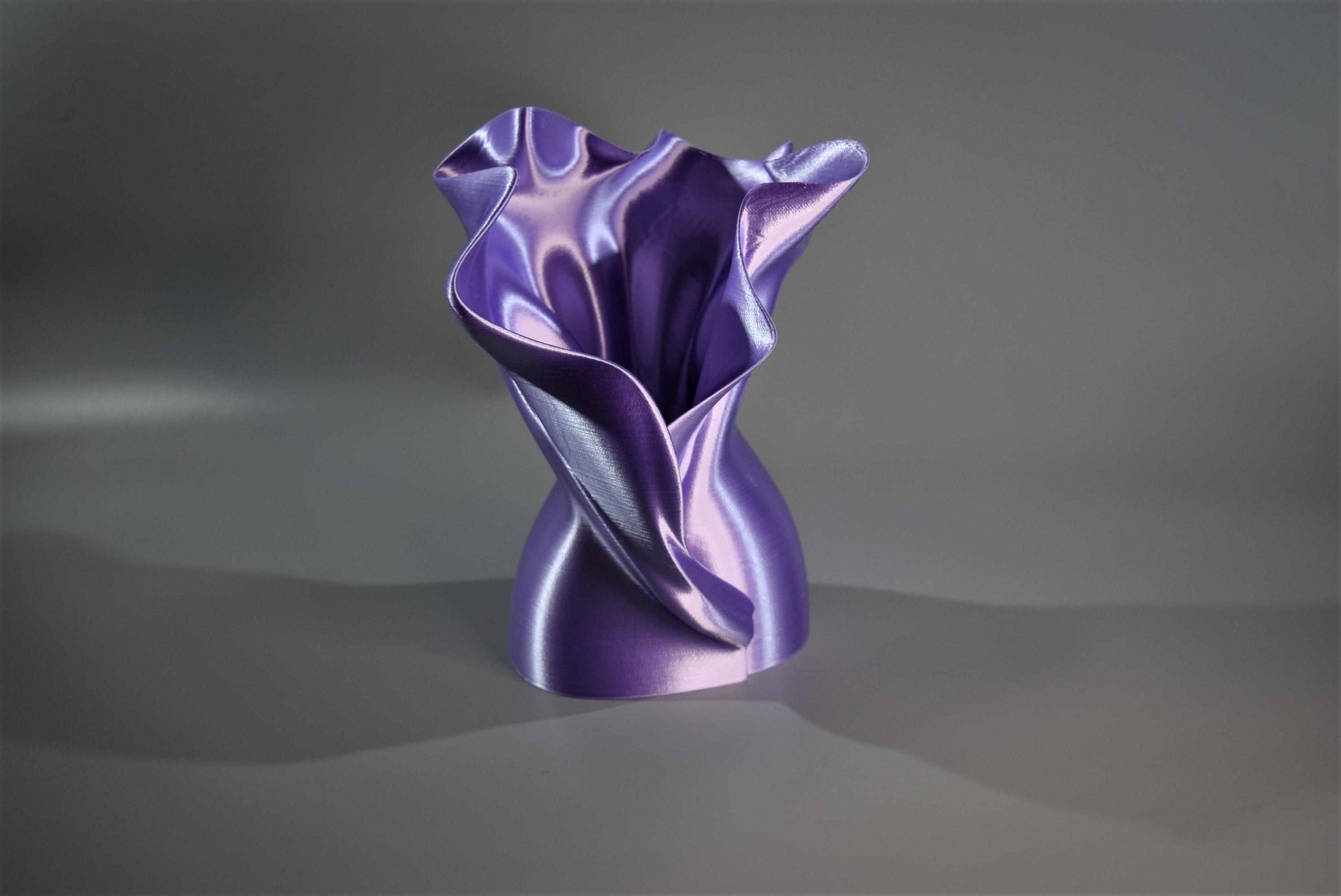Diva Vase 3d model
