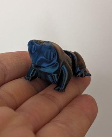 Little Flexi Frog 3d model