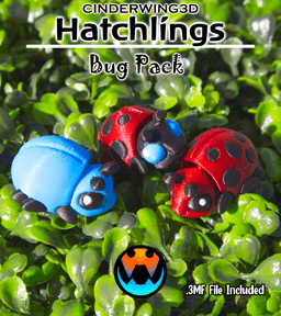 Beetle - Hatchling 3d model