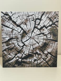 Fractured Wood 3d model