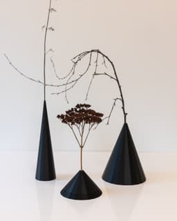 PLEIADES Cone w/ Dish // 120 mm x 66 mm 3d model