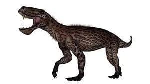 lycaenops 3d model
