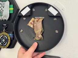 VRC Dino-Might Challenge Medal and Pins Display Plaque 3d model