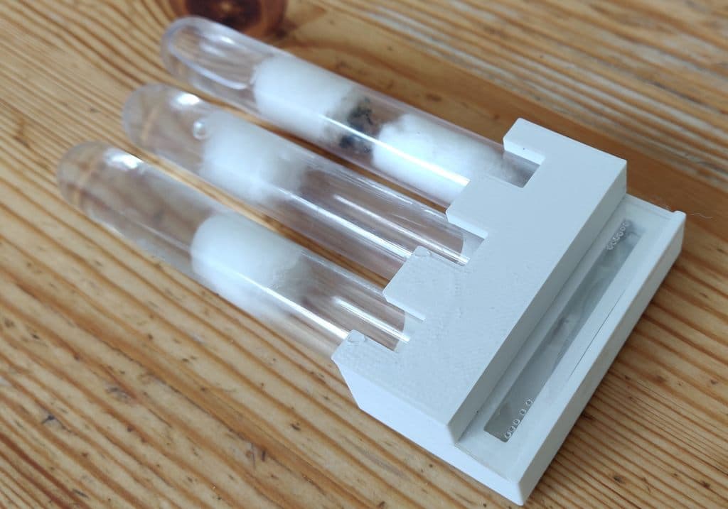 Simple Ant Test Tube Portal 3d model