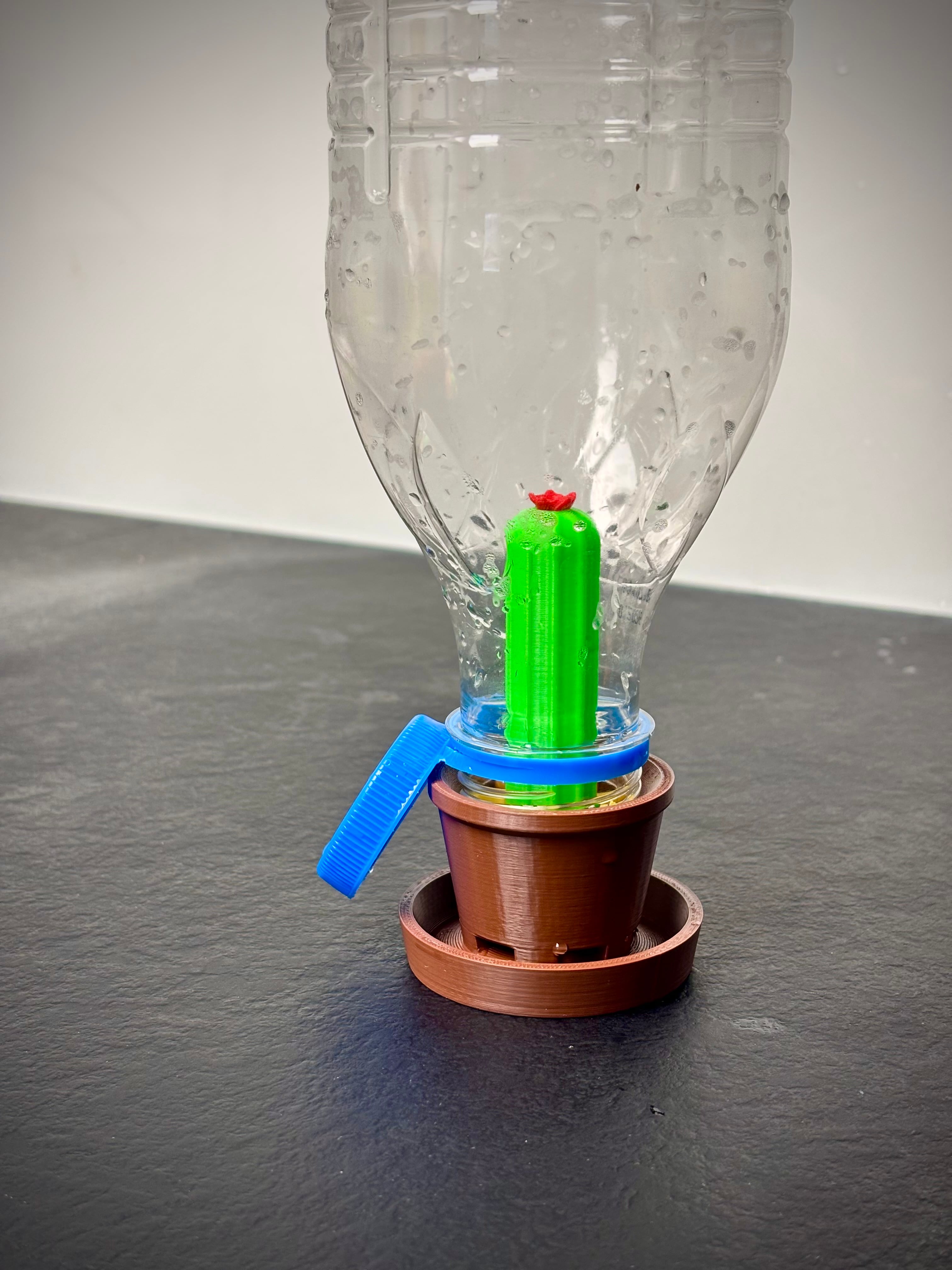 Cactus Bottle Drying Rack | Kitchen Organizer 3d model