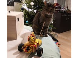 Laser Cat Toy robot 3d model