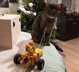 Laser Cat Toy robot 3d model