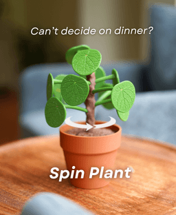 Pilea Food Picker - The Chinese Money Plant - Dinner Decider 3d model