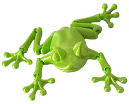 Best frog model out there! Thanks 3d model