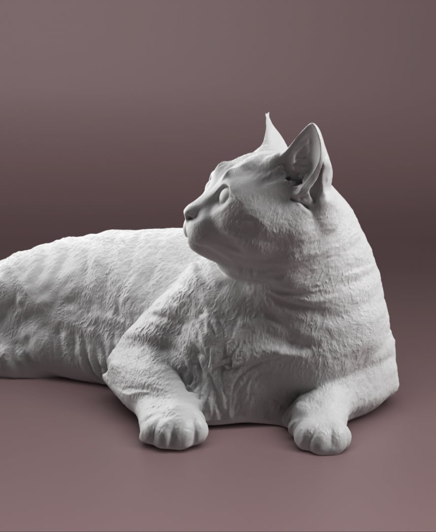 Cat lying down 3d model