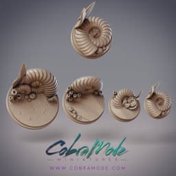 Nautilus Base Pack (4pcs) 3d model