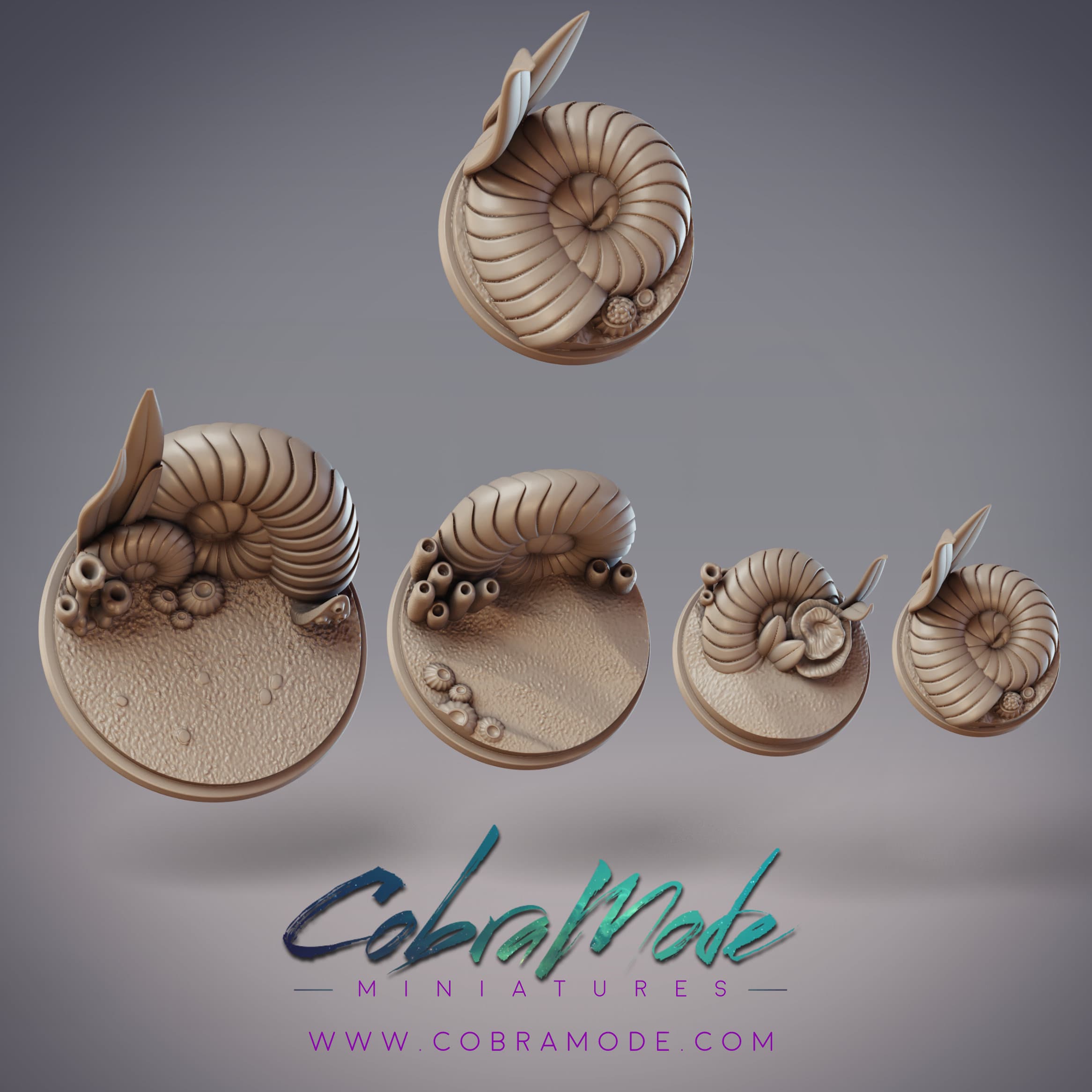 Nautilus Base Pack (4pcs) 3d model