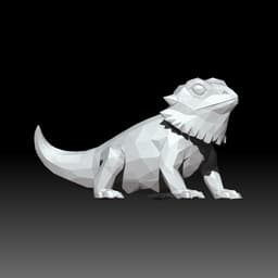 Bearded Dragon 3d model