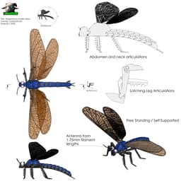 Meganeura Giant Prehistoric Dragonfly, Articulated 3d model