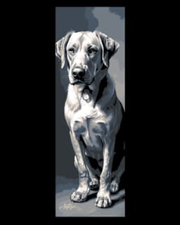 Portraits of our best friends - Puppies part 1 - Set of Bookmarks 3d model