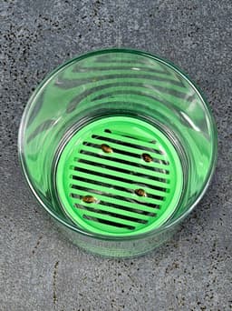 Seedler Easy Germination Rack for Plant Seeds 3d model