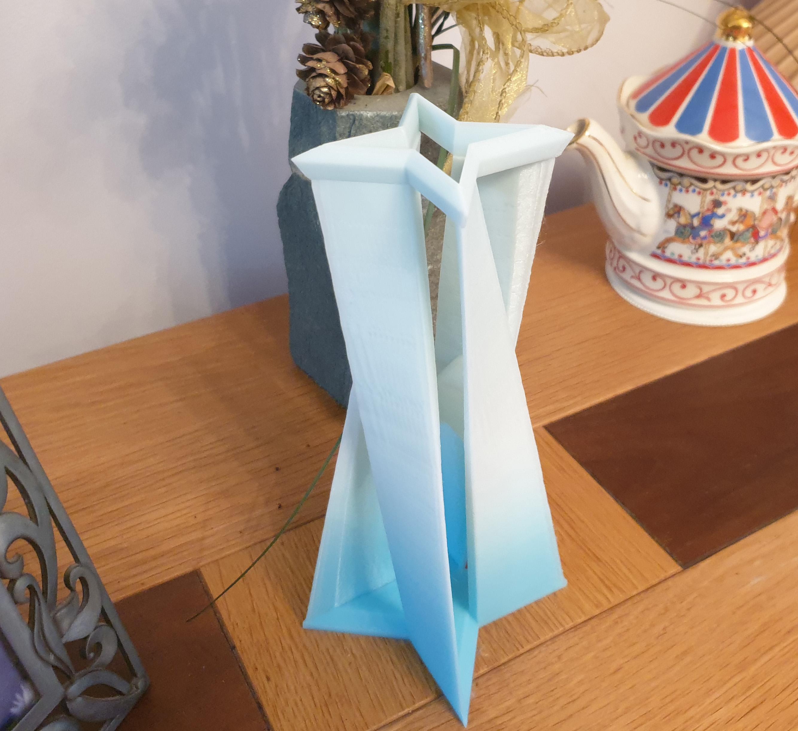 Star vase - dried flower vase 3d model