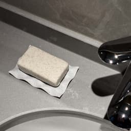 SOAP DISH 3d model