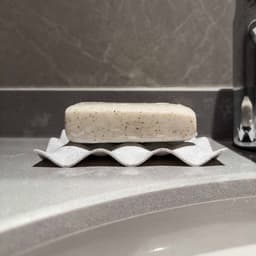 SOAP DISH 3d model