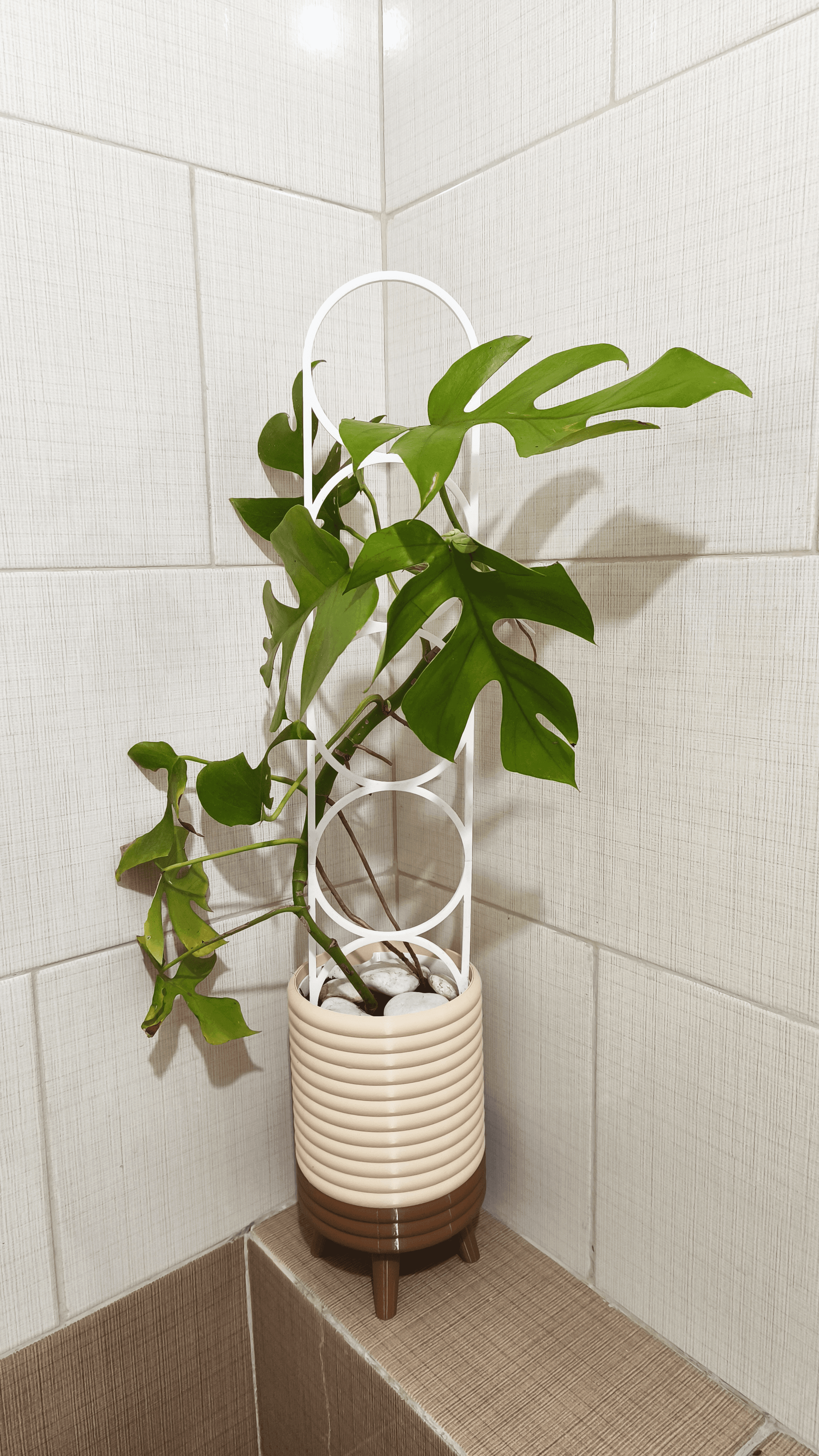 NORVA Planter - Modern Indoor 3D Printables Plant Pot with Drainage Holes and Plant Support 3d model