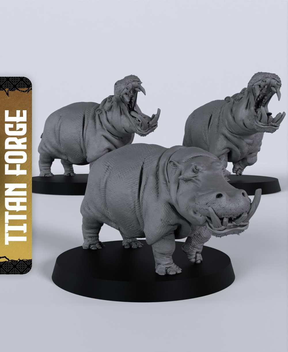 Hippopotamus - With Free Dragon - 5e DnD Inspired for RPG and Wargamers 3d model